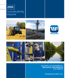 Waupaca Foundry 2016 Sustainability Report